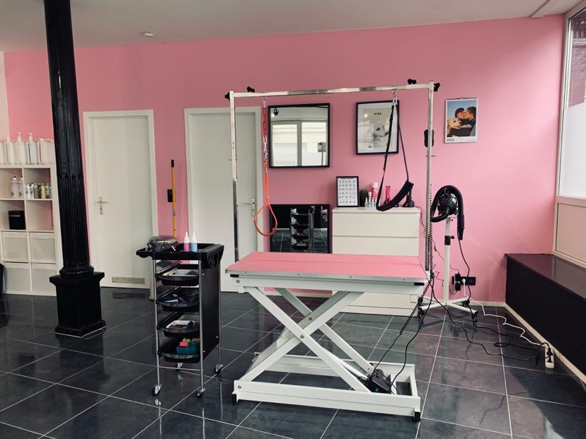 salon 1